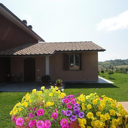 Apartamento Poggio Novello Peccioli Exterior foto