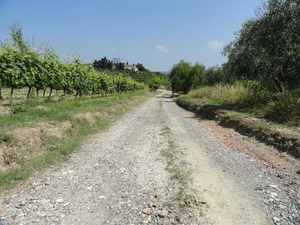 Apartamento Poggio Novello Peccioli Exterior foto